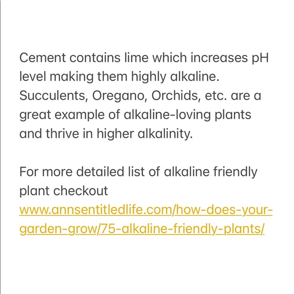 Industrial Modern Handcrafted cement planter - Picture 5 of 5